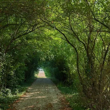 Bons Bois_Le Logis De L'Epiniere_Gite De Charme Nyaraló Les Nouillers